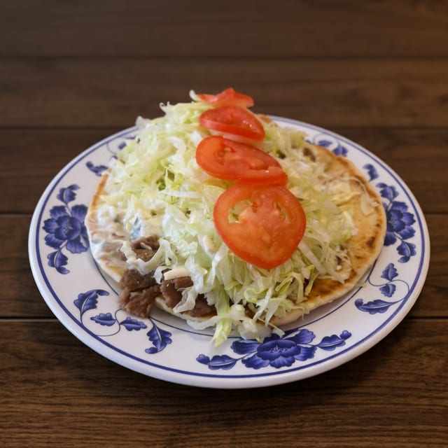 Philly Steak Gyro Combo.