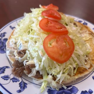 Philly Steak Gyro Combo